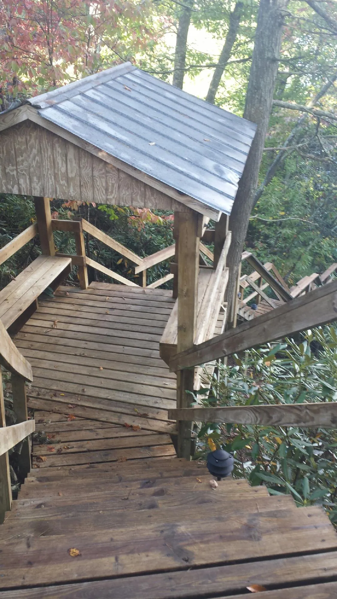 Metal roofed shelter over wooden steps on a wooded walkway — Skylight Repair & Installation work by our crew in Napoleon
