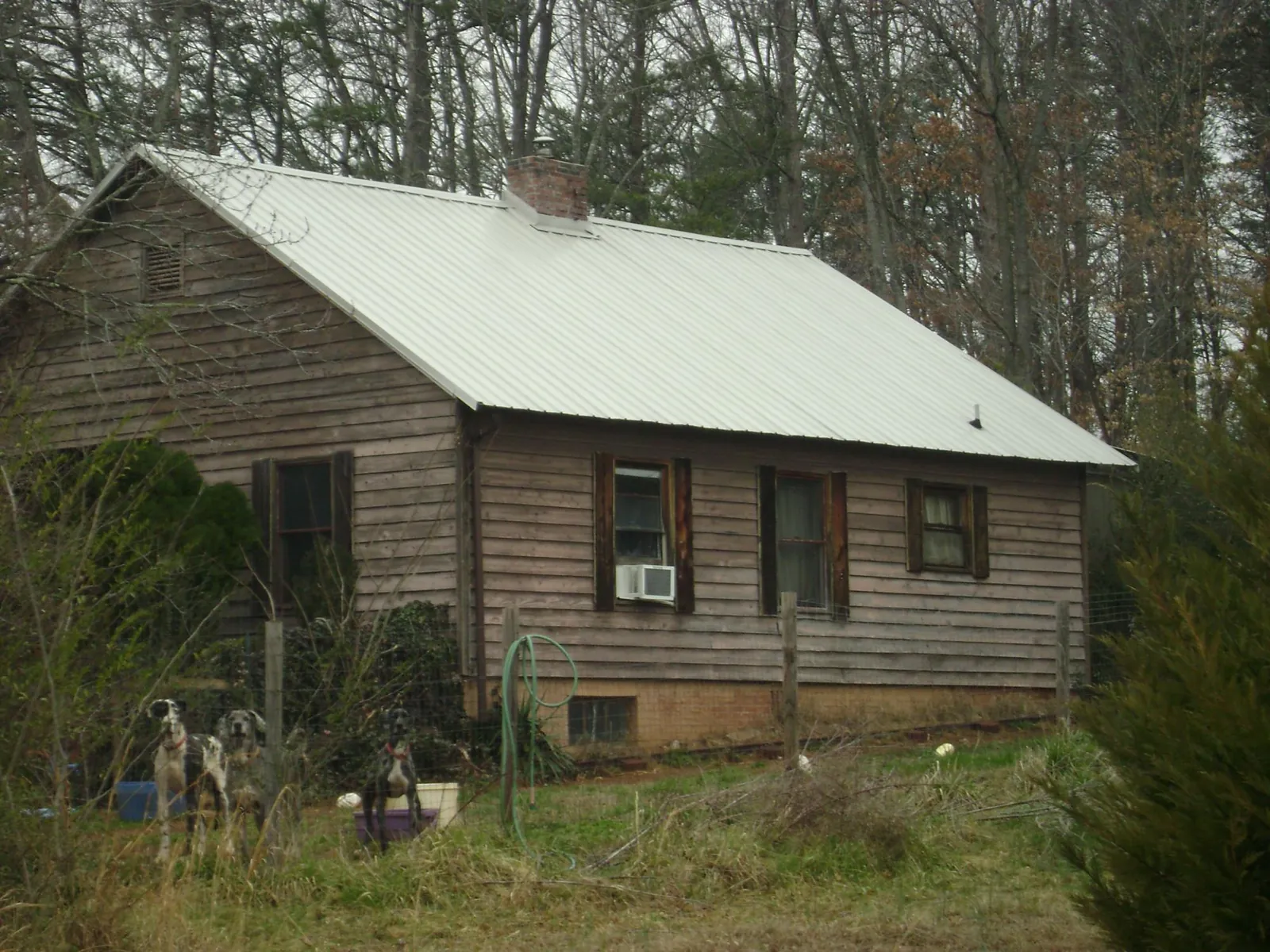White metal roof on an old wood sided farmhouse, from a Asphalt Shingle Roof Repair job in Napoleon